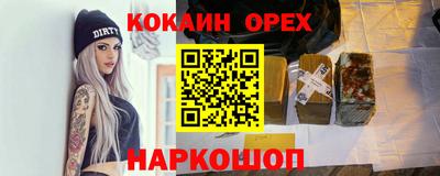 шишки Изобильный