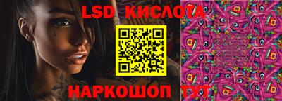 шишки Изобильный