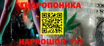 шишки Изобильный