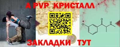 шишки Изобильный