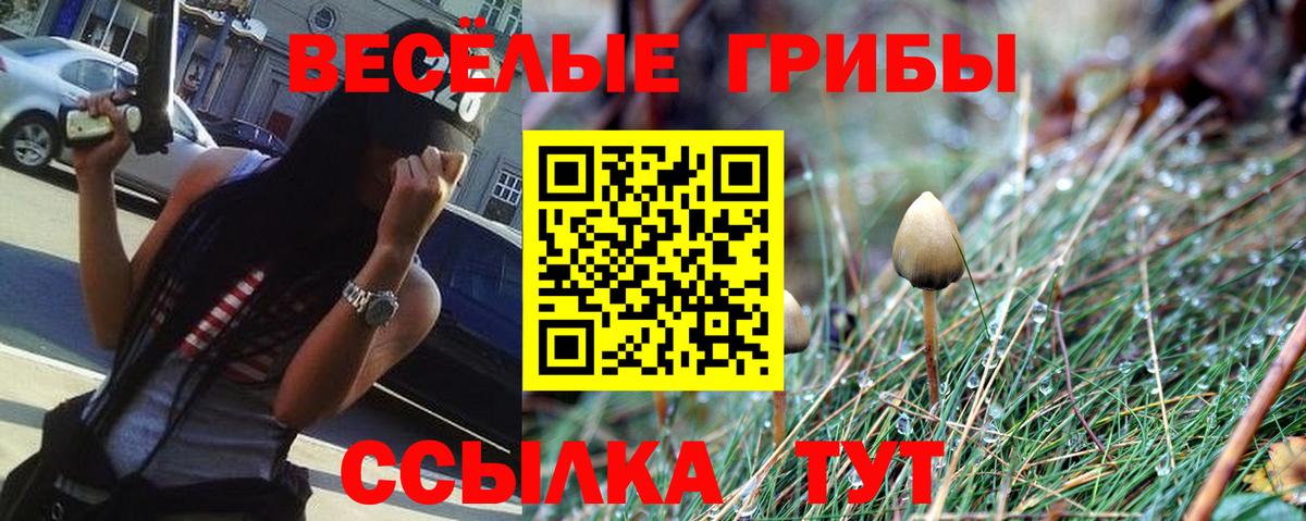 Псилоцибиновые грибы Cubensis  что такое наркотик  Лабинск  Вход с VPN 